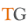 Tiger Global