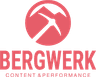 Bergwerk - Digital Experiences AG logo
