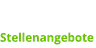 DF Automotive GmbH logo