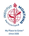 Institut Montana Zugerberg AG logo