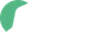 Ferroelectric Memory GmbH logo
