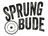 Sprungbude GmbH logo