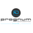 prognum Automotive GmbH logo