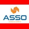 ASSO Consultores S.A.C. logo