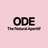 ODE International GmbH logo