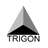 Trigon Gruppe GmbH logo
