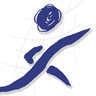 Texum logo