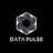 DataPulse Research logo