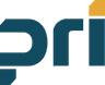 PRI Consultants logo