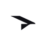 Raven Space Systems logo