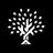 Titanium Birch logo
