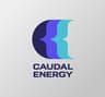 Caudal Energy logo