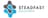 Steadfast Solutions logo