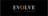 EVOLVE UK PROPERTY LTD logo