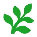 Fern logo