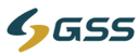 GSSTech Group logo