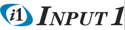 INPUT 1 LLC