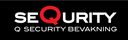 Q Security logo