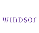 WINDSOR FASHIONS LLC logo